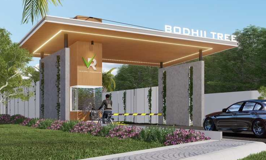 BODHII TREE